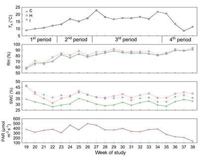 Growth responses to elevated environmental humidity vary between phenological forms of Picea abies